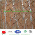 Hot selling Galvanized barbed wire fence barbed wire